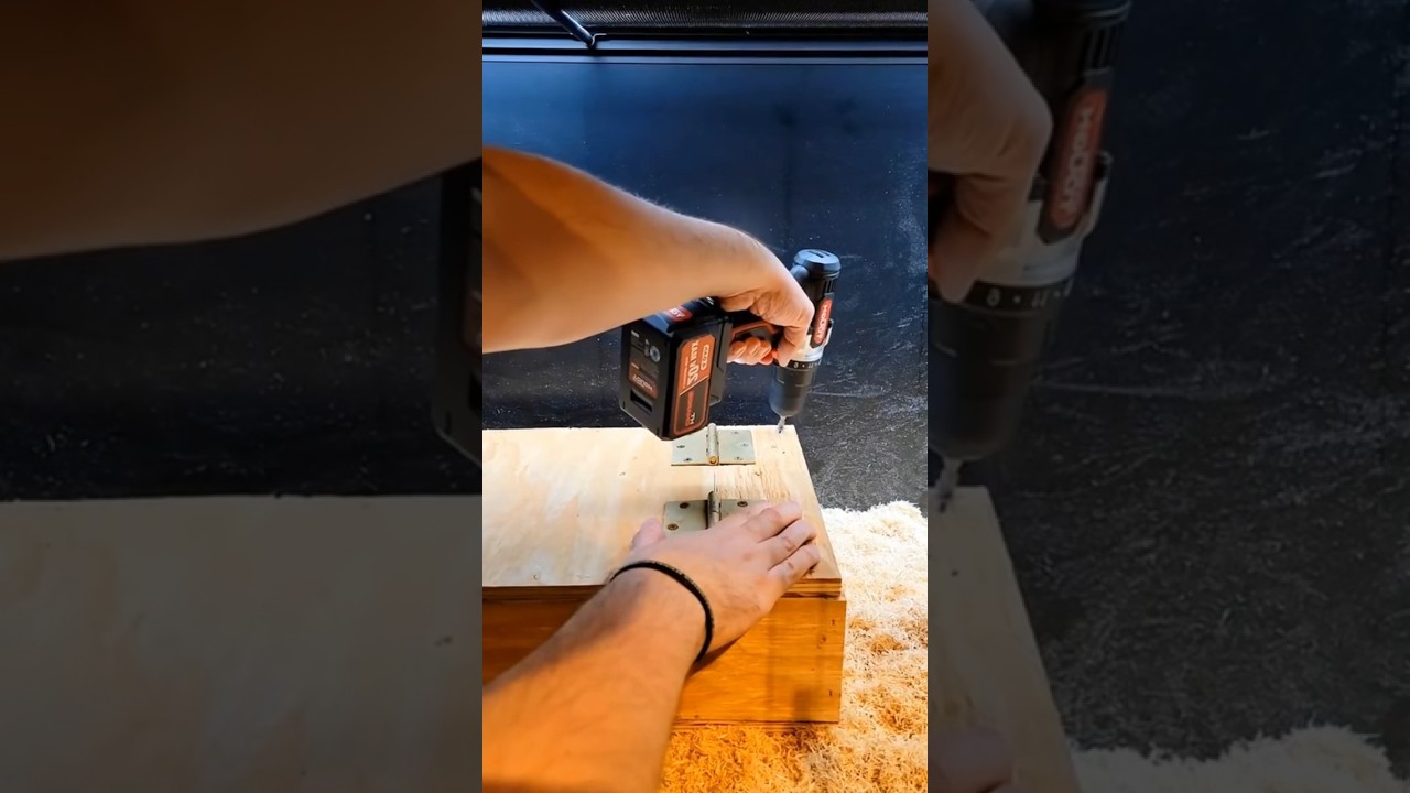 Распаковка Big Black Mamba