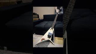 My Wes Borland Rhoads build. #wesborland #rhoads #limpbizkit #floydrose #jacksonguitars