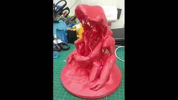 Time lapse test: Micromake C1 3d printing