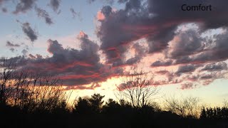 Comfort- Brett Bennett Information