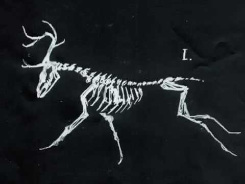 Sunil Sharpe — Minimum Syndicat - NOSEBLEED (Minimum Syndicat 09)