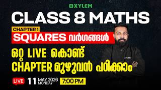 Class 8 Maths | Chapter 1 : Squares / ഒറ്റ Live കൊണ്ട് Chapter മുഴുവൻ പഠിക്കാം | Xylem Class 8