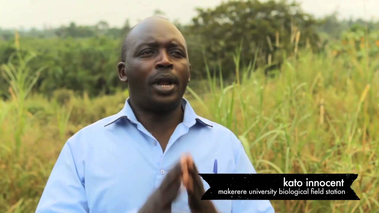 UNITE for the Environment: Conservation Education in Uganda - North Carolina Zoo