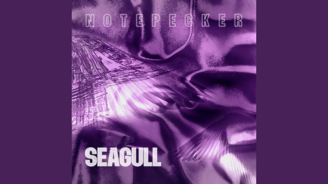 Watch Seagull on YouTube Watch Seagull on YouTube
