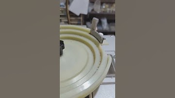 Strawberry seeds counter automatic fruits lemon seeds counting machine with filling packaging