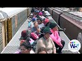 W5 Narco Jungle The Death Train Part 2 Mexico S The Beast A Last Resort For Migrants W5 Narco Jungle The Death Train Part 2 Mexico S The Beast A Last Resort For Migrants