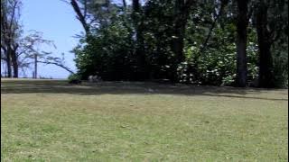 may 9 2012 pt1.TRAXXAS REVO & TIARA