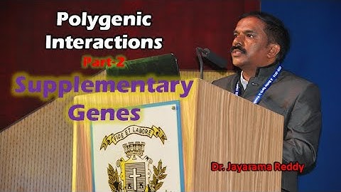 Polygenic Interaction Part 2 Supplementary Gene Interaction