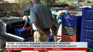 Συκική - Σε εξέλιξη η διαδικασία συγκέντρωσης και παραλαβής με υψηλή ποιότητα, αυξημένη ποσότητα και