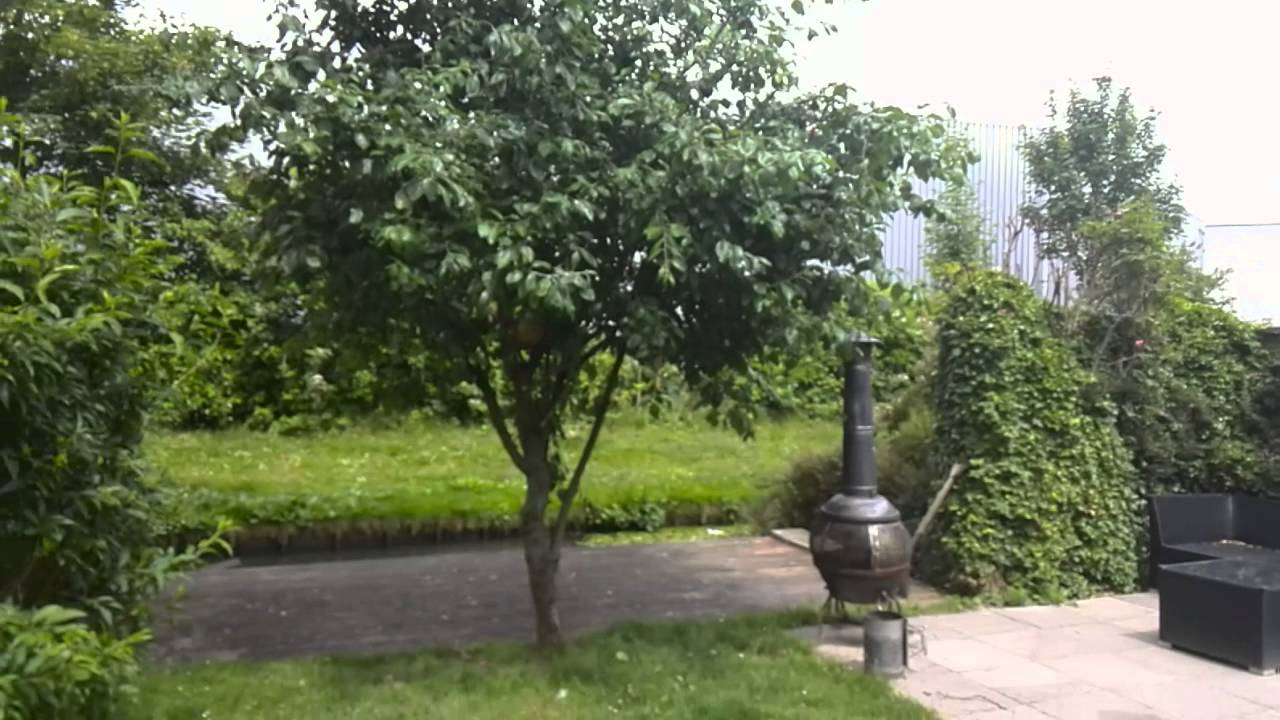 Test video Huawei Ascend P6