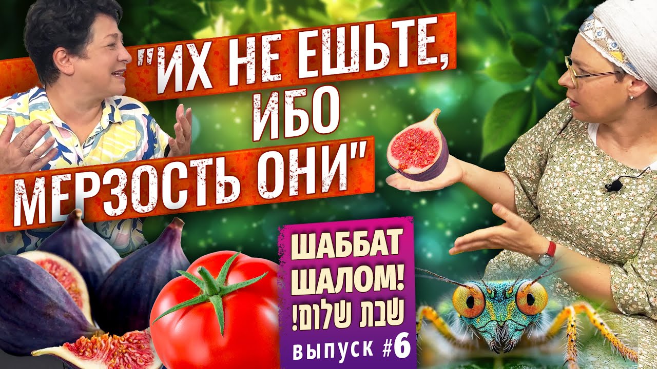 Насекомые и кашрут/ Идолы и праведники/ Пауки и Маген Давид
