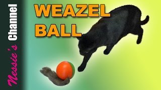 “WEAZEL BALL”