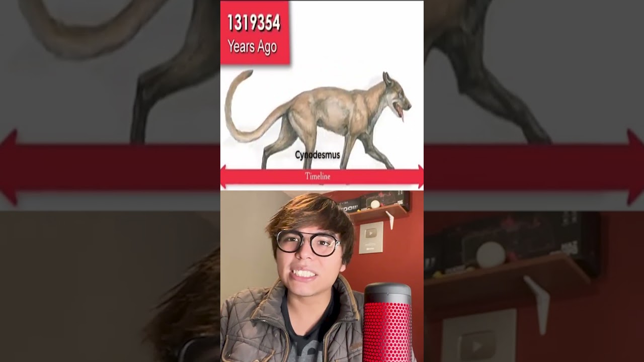 Así es como ha evolucionado el perro a través de los años 🐶🐕 