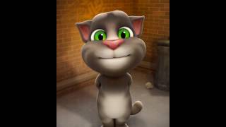 Foolish tom