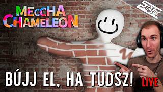 Bújj El, Ha Tudsz! Ki a Legjobb Kaméleon? - Meccha Chameleon #1 - Stark LIVE
