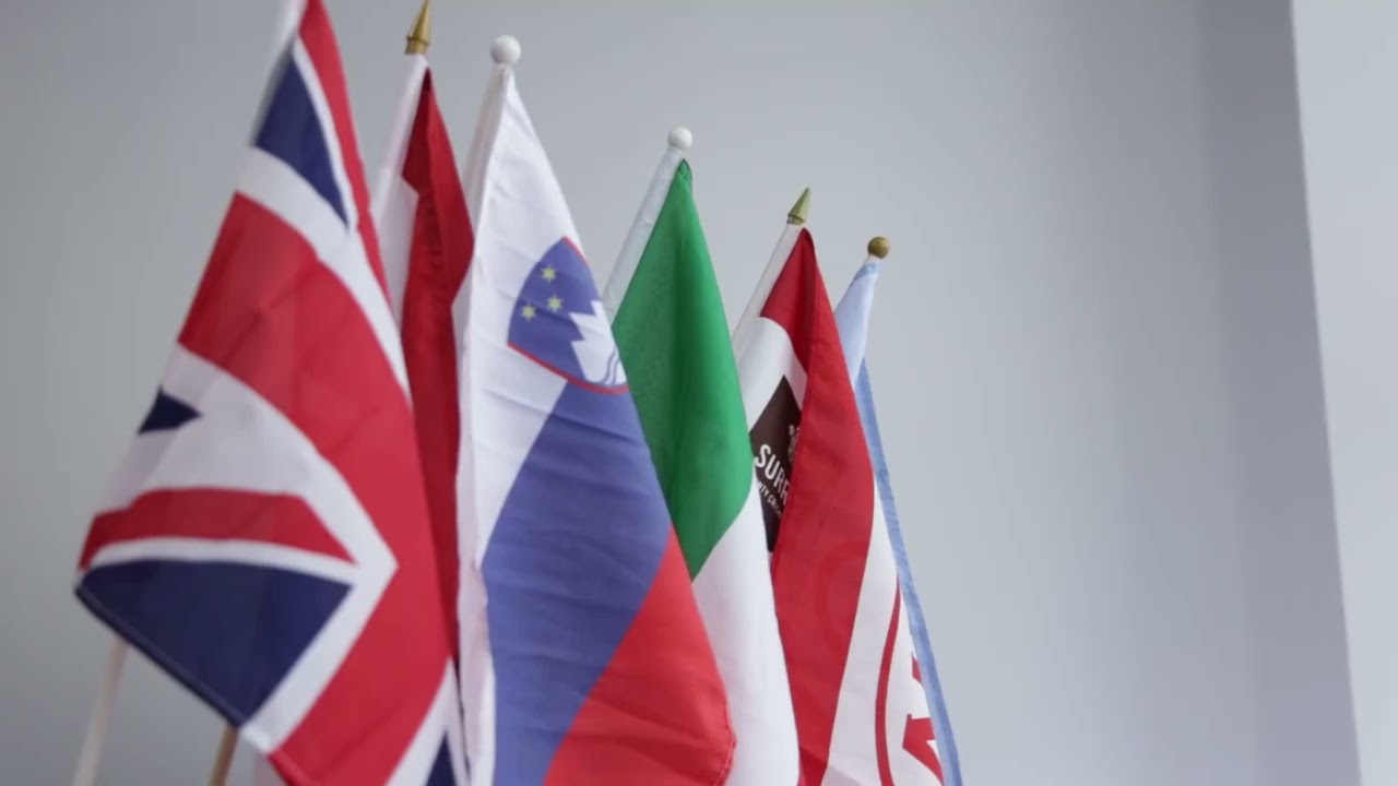 Custom Advertising Event Sports Club Campaign Hand Flags 