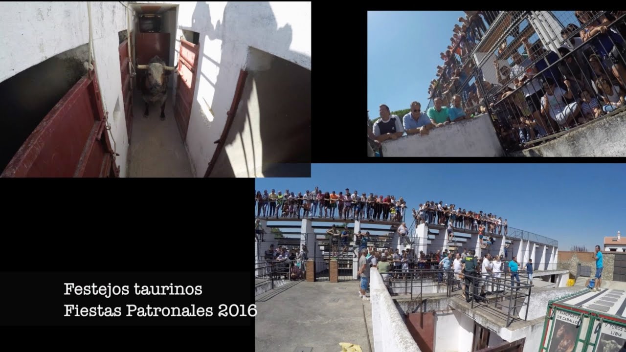 Montánchez: Fiestas de la Virgen del Castillo 2016, festejos taurinos populares