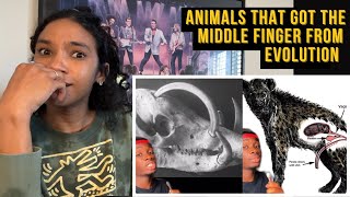 Animals That Got the Middle Finger from Evolution (Casual Geographic Reaction)