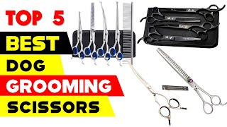 Top 5 Best Dog Grooming Scissors Reviews in 2024