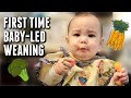 Leah's first time eating solid foods (baby-led weaning) - itsjudyslife