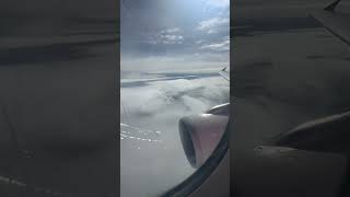 Trash Julia Evangeline Unite