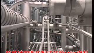 阿海琺(Areva)公司的拉哈格(La hague)再處理廠簡介