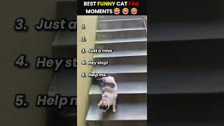 Funny cat fails 😂 Part 1 #cat #fails #funnycats