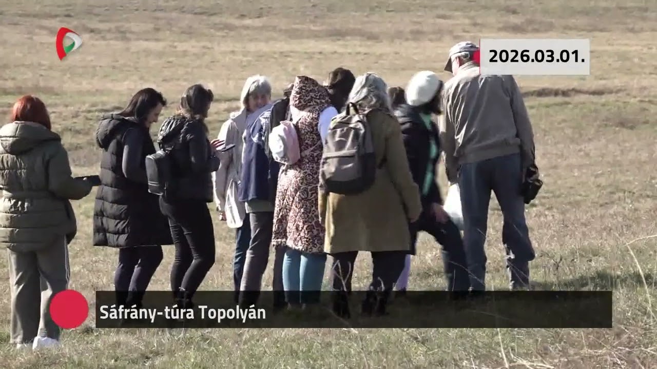 Kommentár nélkül – 2026.03.02.