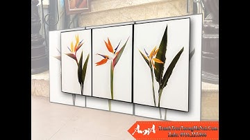 Bộ tranh canvas 3 tấm hoa thiên điểu - Tranh treo tường AmiA