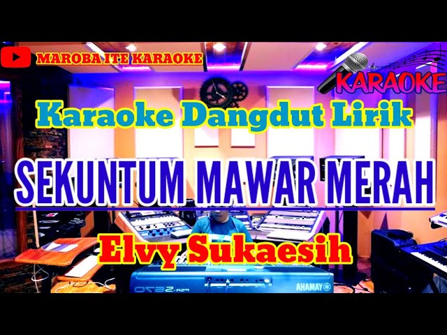 SEKUNTUM MAWAR MERAH ( Elvy Sukaesih ) || Karaoke Dangdut Lirik class=