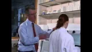 Why is the Invivo2 Hypoxia Workstation Suitable for Your Research?