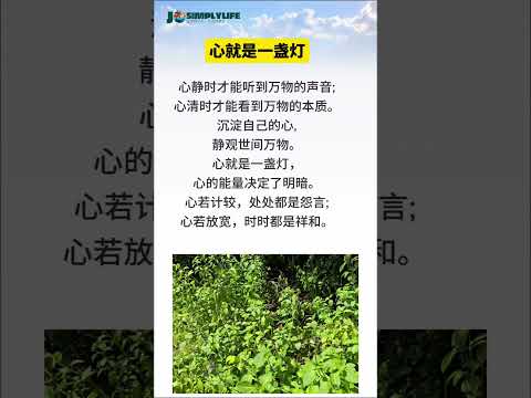 心就是一盏灯 Subscribe Like Share 情感 Thanksforsupporting