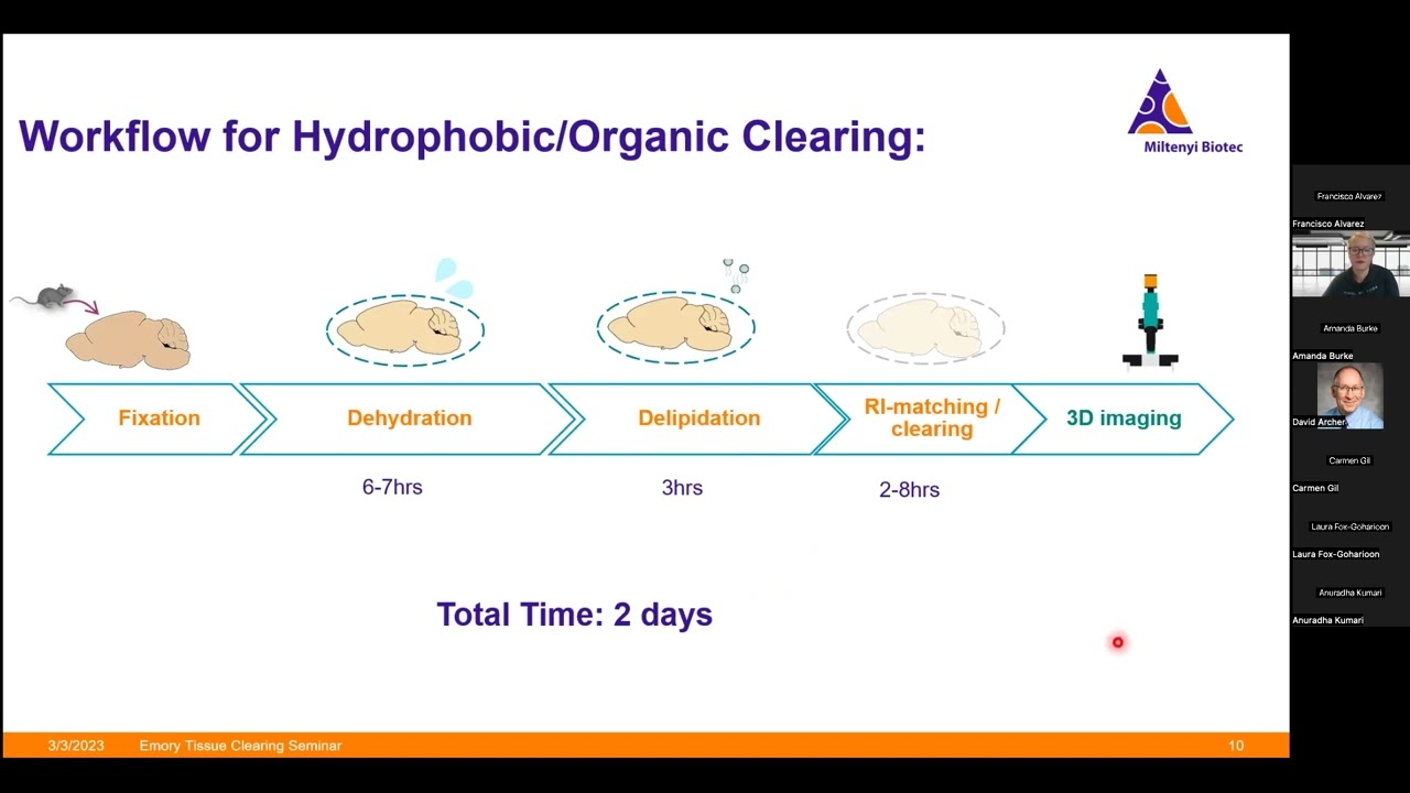 iDISCO Protocol Video (Emory ICI)