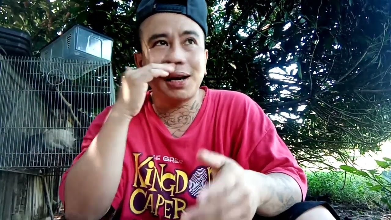 top 1 reason bakit nag quit ang, mga ball python hobbyist