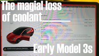 Model 3 The magical loss of coolant