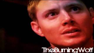 J2// Crazy (150+subbscribers vid)
Is this J2? i used like mostly blooper cllips and some like ep clips... well i say it is!!! this is for you!!! subsribers!!! :P i hope you all like it i worked on it for like ever!!! ahhh but i like it i think its kinda cute. and im starting to move into colorcorrecting!!!! woot J2// Crazy (150+subbscribers vid)
