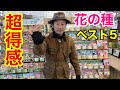 【盲点】あっと言わせる　お花の種ベスト５　　        【カーメン君】【ガーデニング】【初心者】