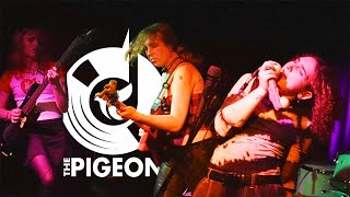 A Total Wreck - Fla Live At The Tom Kane Theatre