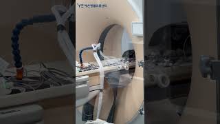 정확하고 빠른 강아지 CT
