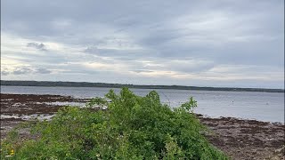 Live beach combing Cape Breton Island, Nova Scotia, Canada, Sydney area come say hi road to 20 K ￼