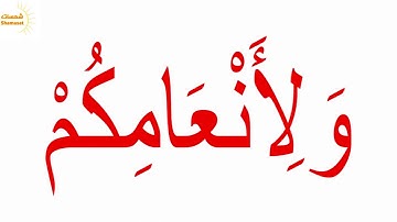 سورة عبس الجزء السادس جلين دومان Glenn Doman