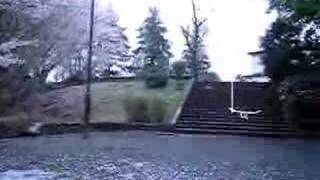 sakura to toratanu
