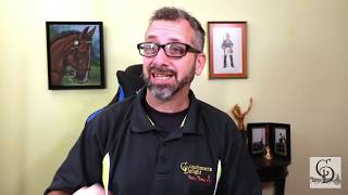 Carriage Driving Q & A, Live