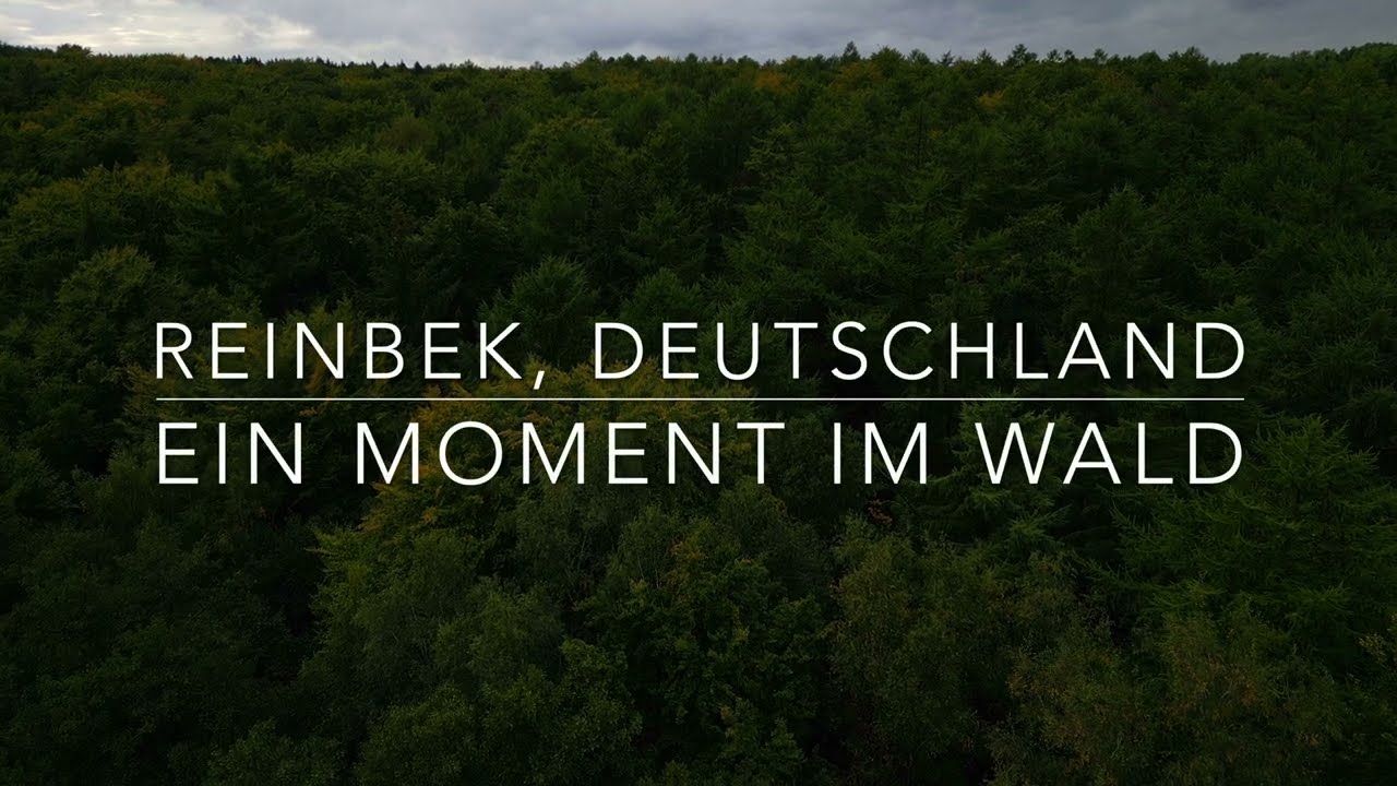 Ein Moment im Wald | 4K Drohnenaufnahmen | active track | dji mini 3 pro |