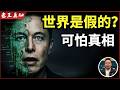 老王来了:我们生活在真实世界概率十亿分之一?|虚拟世界的真相|