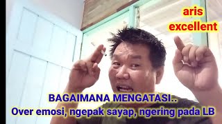 TIPS LOVEBIRD : BAGAMAINA MENGATASI OVER EMOSI, NGEPAK SAYAP, NGERING PADA LOVEBIRD