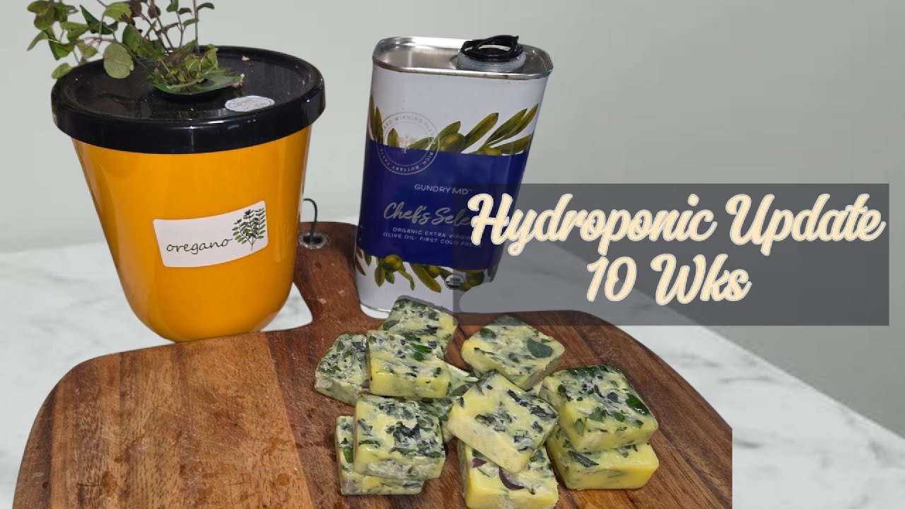 Hydroponic Update -10 wks