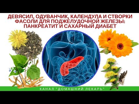 Девясил, одуванчик и створки фасоли при панкреатите и диабете - Домашний лекарь - выпуск №244