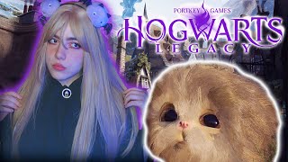 Hogwarts Legacy Максимальная Сложность - Полное Прохождение Хогвартс Наследие Стрим #6