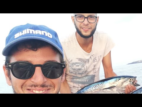 Traina costiera con artificiale